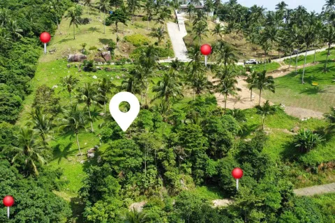 Земельный участок в Самуи, Таиланд 4000м2  № 160227 - фото 3