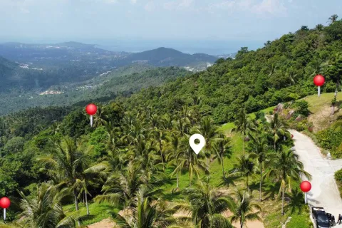 Земельный участок в Самуи, Таиланд 4000м2  № 160227 - фото 2