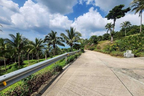 Земельный участок в Самуи, Таиланд 4000м2  № 160227 - фото 14