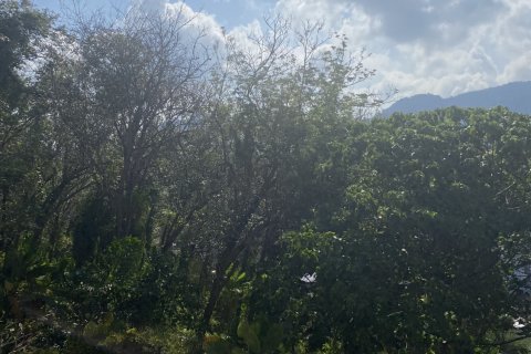 Studio dans le Condo à Kathu, Thaïlande  № 160226 - photo 14