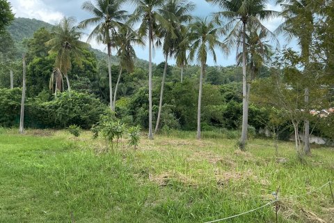 Land in Ko Samui, Thailand 1600 sq.m. № 160229 - photo 2