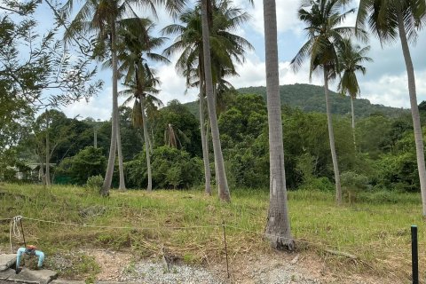 Land in Ko Samui, Thailand 1600 sq.m. № 160229 - photo 3