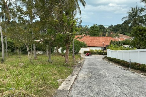 Land in Ko Samui, Thailand 1600 sq.m. № 160229