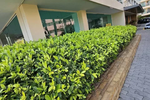 Офис в Паттайе, Таиланд № 146208 - фото 7