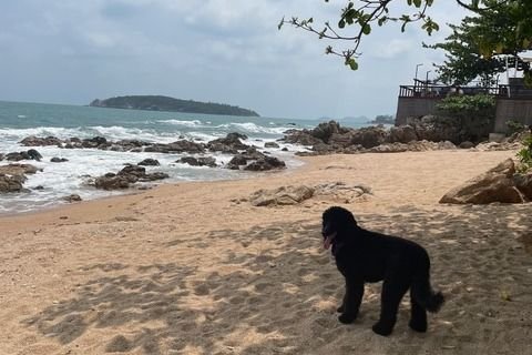 Villa in Ko Samui, Thailand 3 bedrooms № 138447 - photo 10