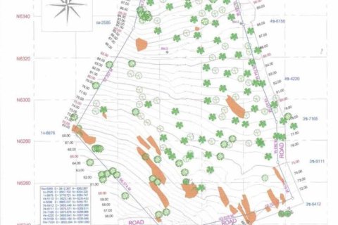 Земельный участок в Самуи, Таиланд 8000м2  № 155209 - фото 6