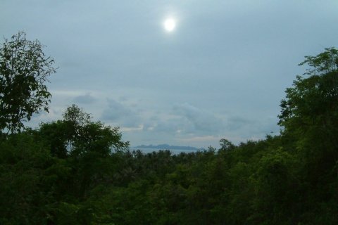 Земельный участок в Самуи, Таиланд 8000м2  № 155209 - фото 2