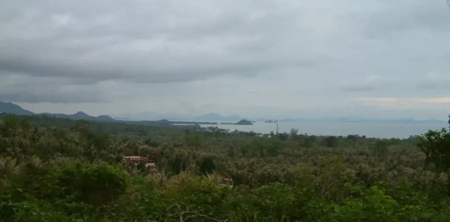 Земельный участок в Самуи, Таиланд 8000м2  № 155209