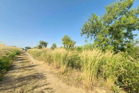 Земельный участок в Ван Ное, Таиланд 8000м2  № 154110 - фото 16