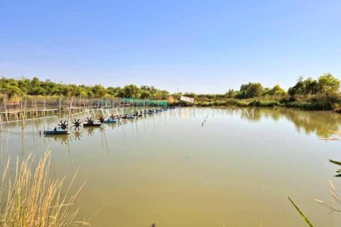 Земельный участок в Ван Ное, Таиланд 8000м2  № 154110 - фото 20