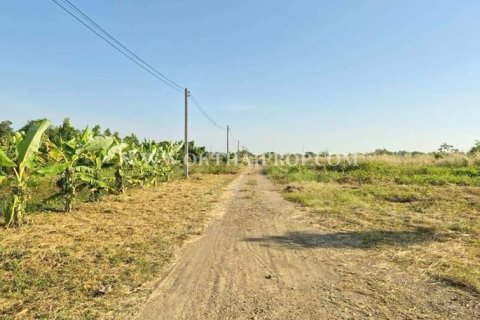 Земельный участок в Ван Ное, Таиланд 8000м2  № 154110 - фото 4