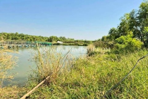 Земельный участок в Ван Ное, Таиланд 8000м2  № 154110 - фото 15