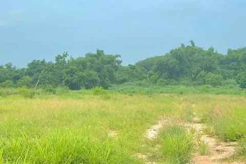 Terrain à Rayong, Thaïlande 36800 m2 № 154404 - photo 6