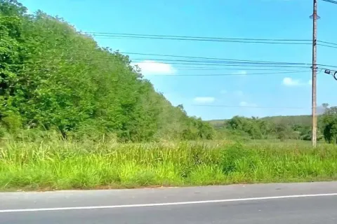 Terrain à Rayong, Thaïlande 36800 m2 № 154404 - photo 5