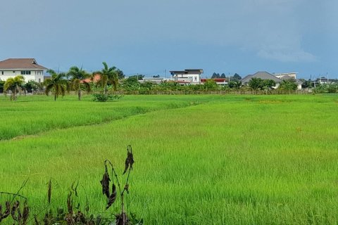 Terrain à Mae Rim, Thaïlande 6400 m2 № 151216 - photo 2