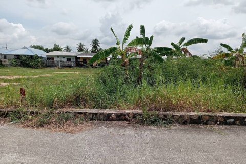 Land in Pattaya, Thailand 3200 sq.m. № 163498 - photo 3