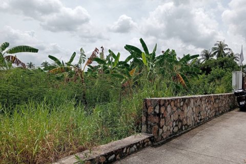 Land in Pattaya, Thailand 3200 sq.m. № 163498 - photo 2