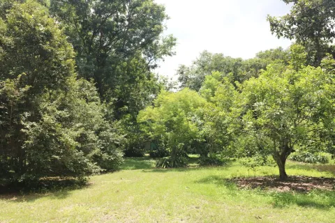 Land in Nakhon Phanom, Thailand 102400 sq.m. № 147930 - photo 29