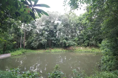 Land in Nakhon Phanom, Thailand 102400 sq.m. № 147930 - photo 21