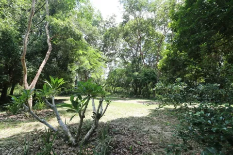 Land in Nakhon Phanom, Thailand 102400 sq.m. № 147930 - photo 17