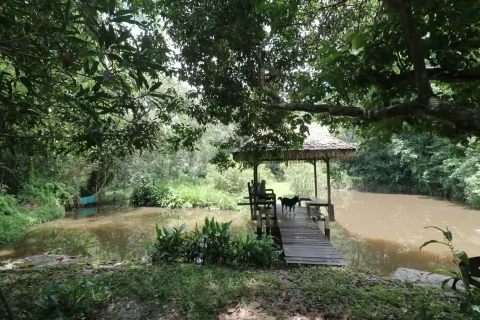 Land in Nakhon Phanom, Thailand 102400 sq.m. № 147930 - photo 18