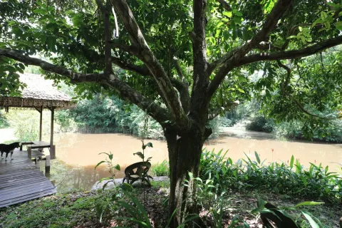 Land in Nakhon Phanom, Thailand 102400 sq.m. № 147930 - photo 19