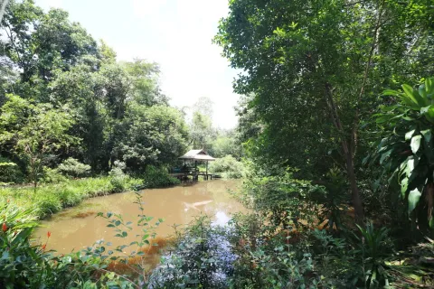 Land in Nakhon Phanom, Thailand 102400 sq.m. № 147930 - photo 16