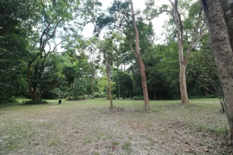 Land in Nakhon Phanom, Thailand 102400 sq.m. № 147930 - photo 22