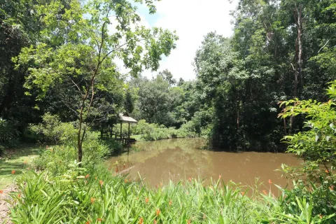 Land in Nakhon Phanom, Thailand 102400 sq.m. № 147930 - photo 15