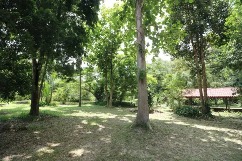 Land in Nakhon Phanom, Thailand 102400 sq.m. № 147930 - photo 23