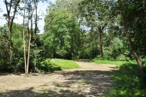 Land in Nakhon Phanom, Thailand 102400 sq.m. № 147930 - photo 5