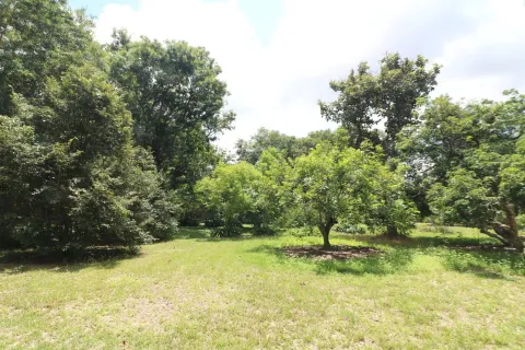 Land in Nakhon Phanom, Thailand 102400 sq.m. № 147930 - photo 28