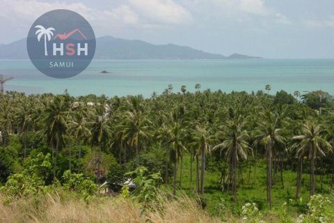 Land in Ko Samui, Thailand 2608 sq.m. № 180091 - photo 8