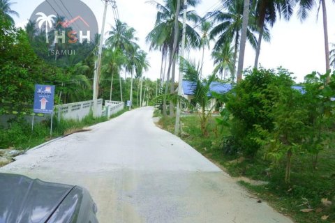 Land in Ko Samui, Thailand 2608 sq.m. № 180091 - photo 7