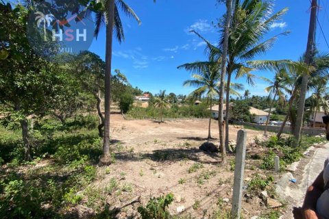 Land in Ko Samui, Thailand 2608 sq.m. № 180091