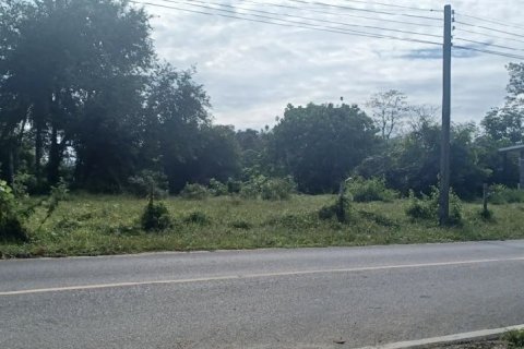 Terrain à Phuket, Thaïlande 3614.4 m2 № 154331 - photo 2