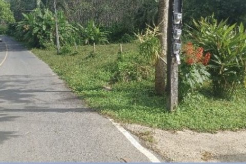 Terrain à Phuket, Thaïlande 3614.4 m2 № 154331 - photo 3