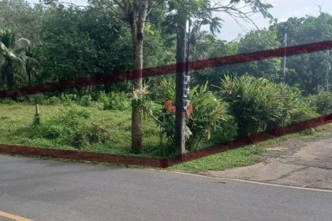 Terrain à Phuket, Thaïlande 3614.4 m2 № 154331 - photo 1