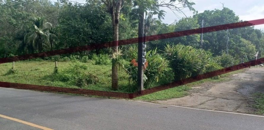 Terrain à Phuket, Thaïlande 3614.4 m2 № 154331