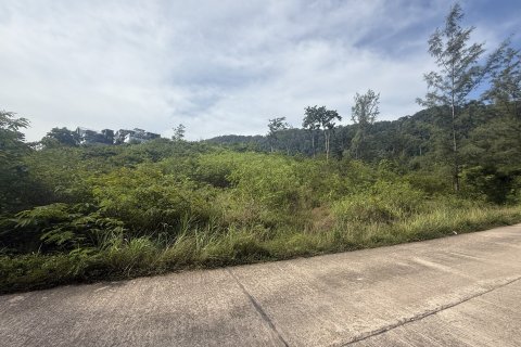 Земельный участок в Ланта Яи, Таиланд 3320м2  № 151684 - фото 2