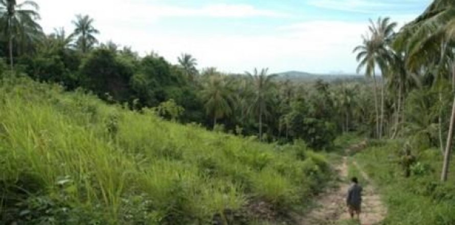 ที่ดินในเกาะสมุย, ประเทศไทย 6264 ตร.ม. № 202475