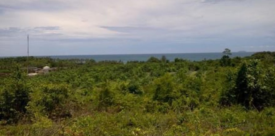ที่ดินในเกาะลันตา, ประเทศไทย 8000 ตร.ม. № 202476