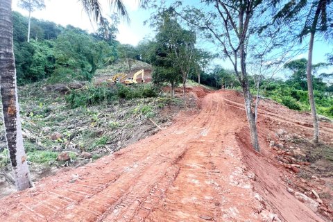 Terrain à Phuket, Thaïlande 12884 m2 № 164320 - photo 6