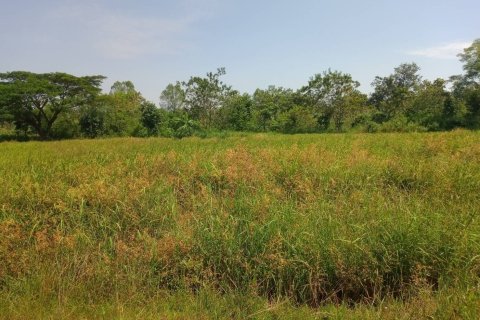 Terrain à Ban Dung, Thaïlande 28800 m2 № 159482 - photo 24