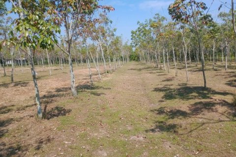 Terrain à Ban Dung, Thaïlande 28800 m2 № 159482 - photo 15
