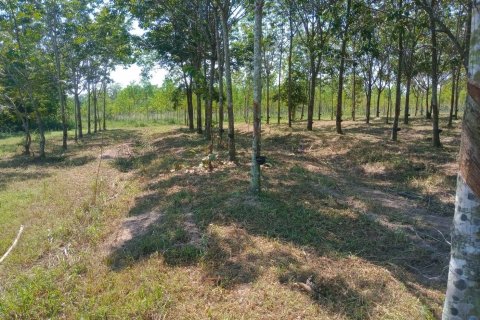 Terrain à Ban Dung, Thaïlande 28800 m2 № 159482 - photo 23