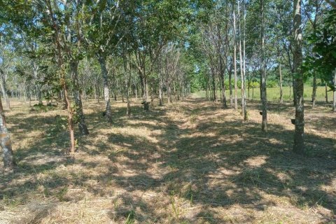 Terrain à Ban Dung, Thaïlande 28800 m2 № 159482 - photo 17