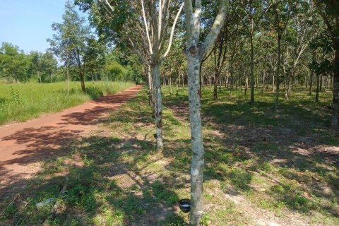 Terrain à Ban Dung, Thaïlande 28800 m2 № 159482 - photo 9