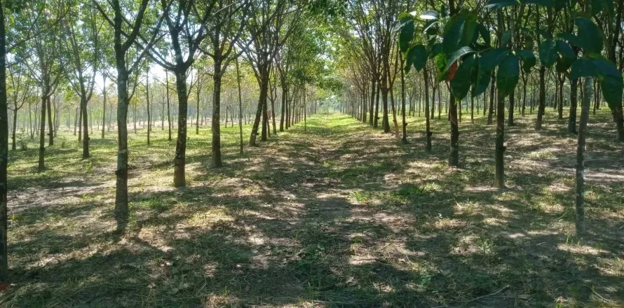 Terrain à Ban Dung, Thaïlande 28800 m2 № 159482