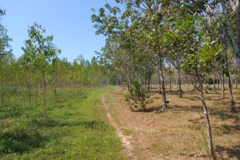 Terrain à Ban Dung, Thaïlande 28800 m2 № 159482 - photo 18